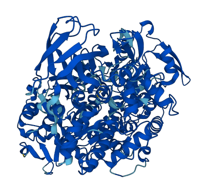 ACO1 3D structure