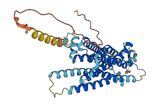 TACR2 3D structure