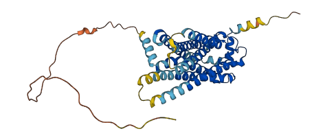 S1PR1 3D structure