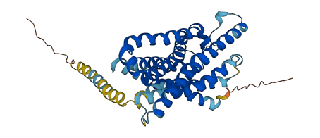 FPR1 3D structure