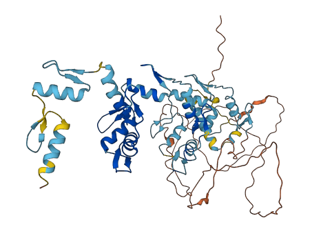 ZNF10 3D structure
