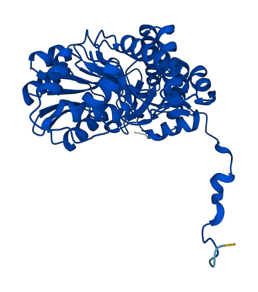 AGXT 3D structure