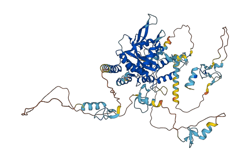 TNFAIP3 3D structure