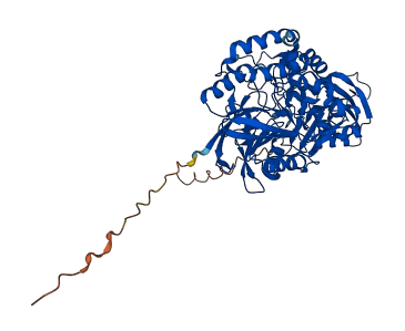 NT5E 3D structure
