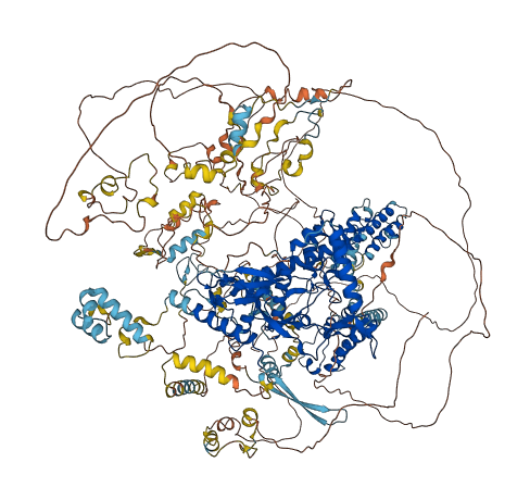 TAF1 3D structure