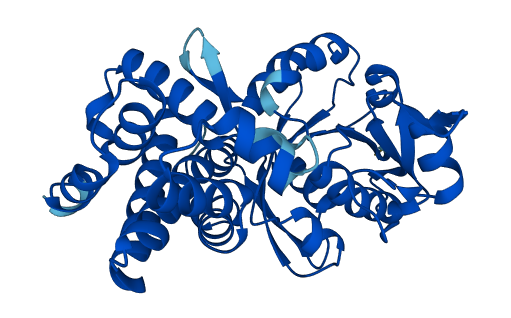 GPD1 3D structure