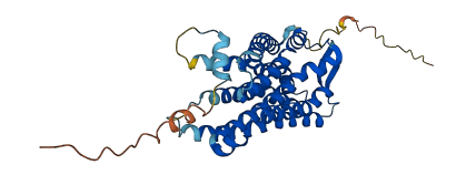 C5AR1 3D structure