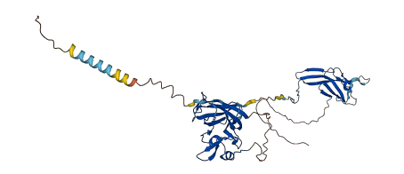 ZP3 3D structure