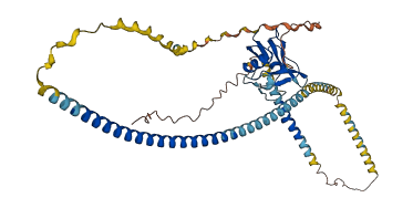 MSR1 3D structure