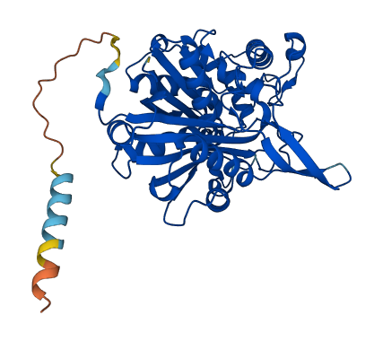 Acaa1a 3D structure