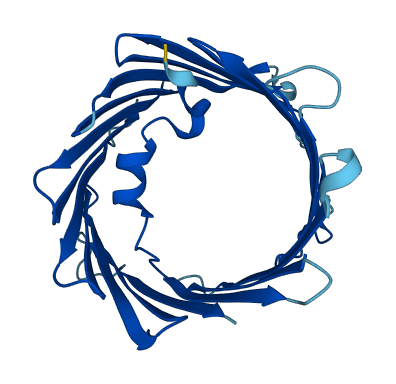 VDAC1 3D structure
