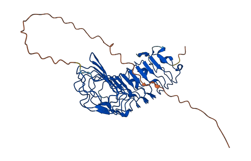 BGN 3D structure