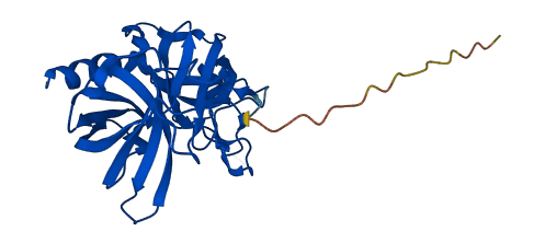 Mcpt4 3D structure
