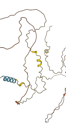 IBSP 3D structure