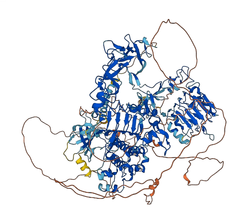 ERBB3 3D structure