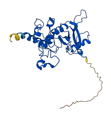 SDHB 3D structure