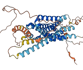 DRD5 3D structure
