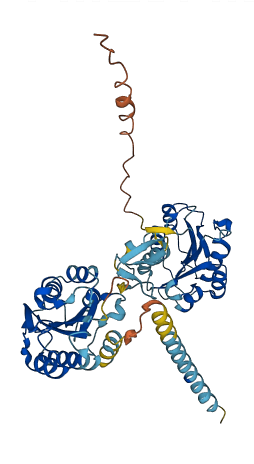 MATN1 3D structure