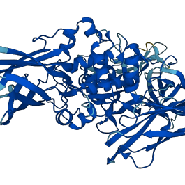 TGM2 3D structure