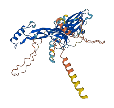 BMP5 3D structure