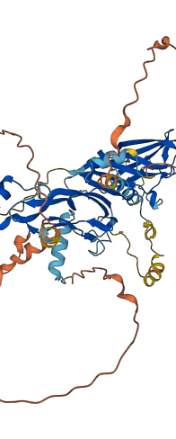 BMP6 3D structure