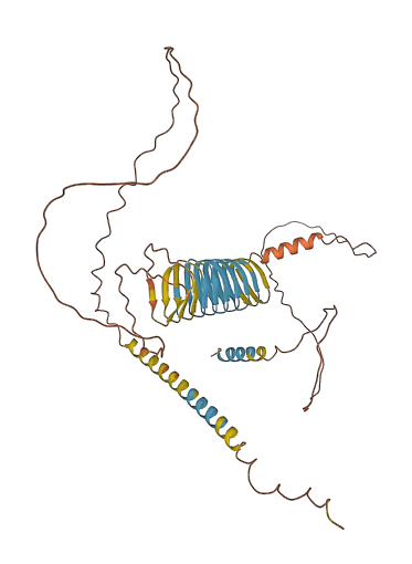 Svs2 3D structure