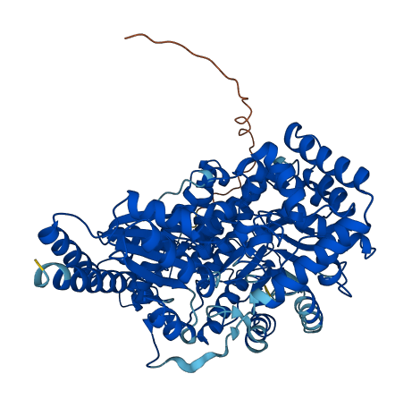 MMUT 3D structure