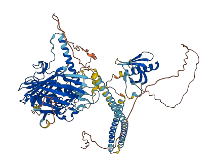 OSBP 3D structure