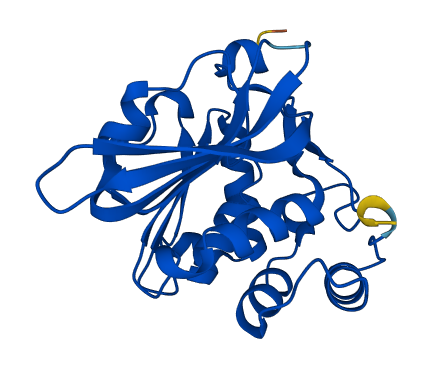 PCMT1 3D structure