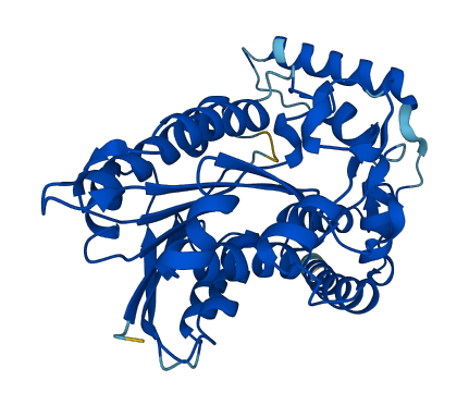 Hsd3b 3D structure