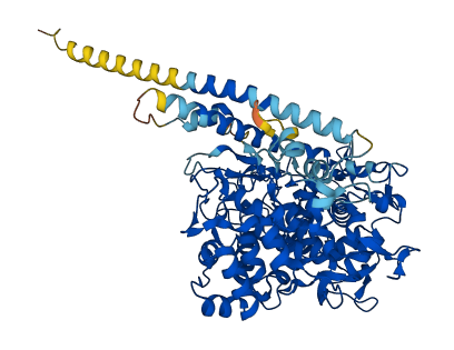 LPO 3D structure