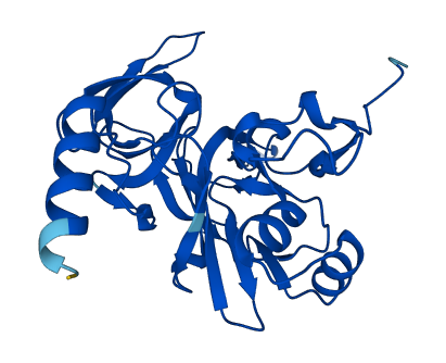 RPS4Y1 3D structure