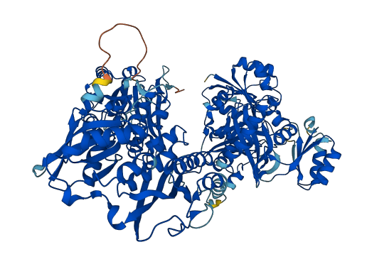 GART 3D structure