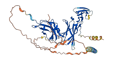 Il6ra 3D structure