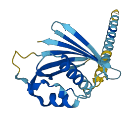 Andpro 3D structure
