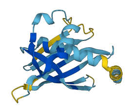 Crp2 3D structure