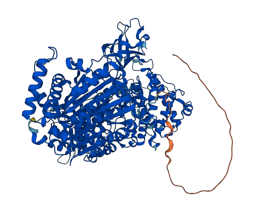 UBA1 3D structure