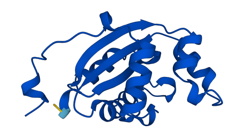 NME2 3D structure