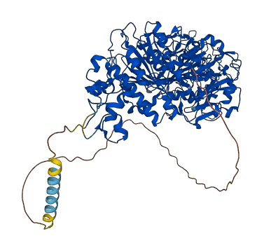 ENPP1 3D structure