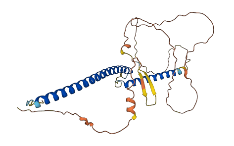 USF1 3D structure