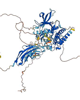 FGFR4 3D structure