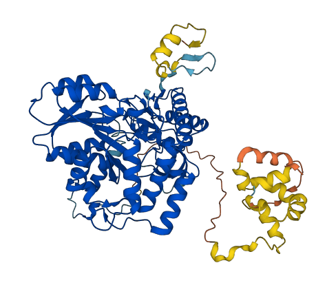 ALAS2 3D structure