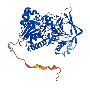 FDXR 3D structure