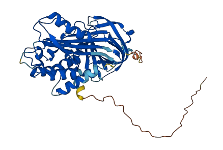 Serpina1b 3D structure
