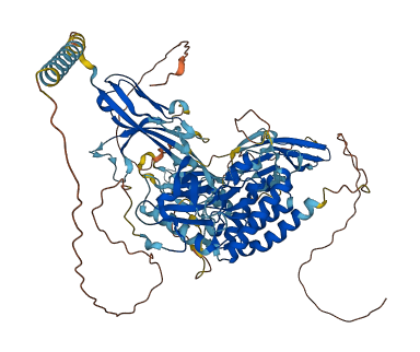 FGFR3 3D structure