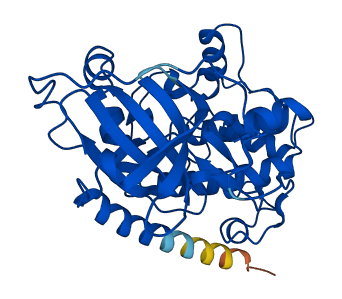 PRKACG 3D structure
