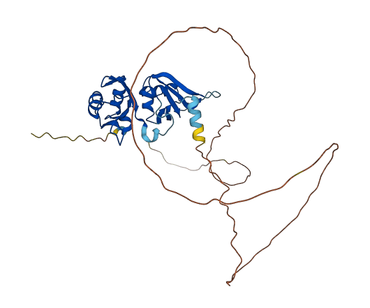 HNRNPA2B1 3D structure