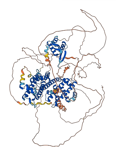 RFX1 3D structure