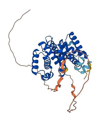 CCNO 3D structure