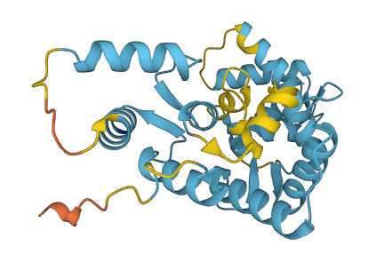 CALB2 3D structure